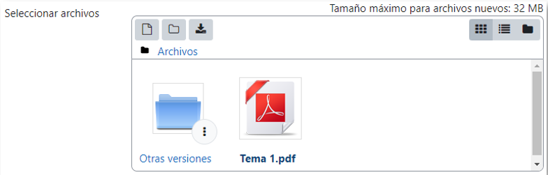 Vista de gestión de ficheros subidos a un recurso