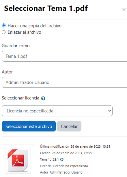 Vista que aparece al seleccionar un fichero ubicado en los archivos locales