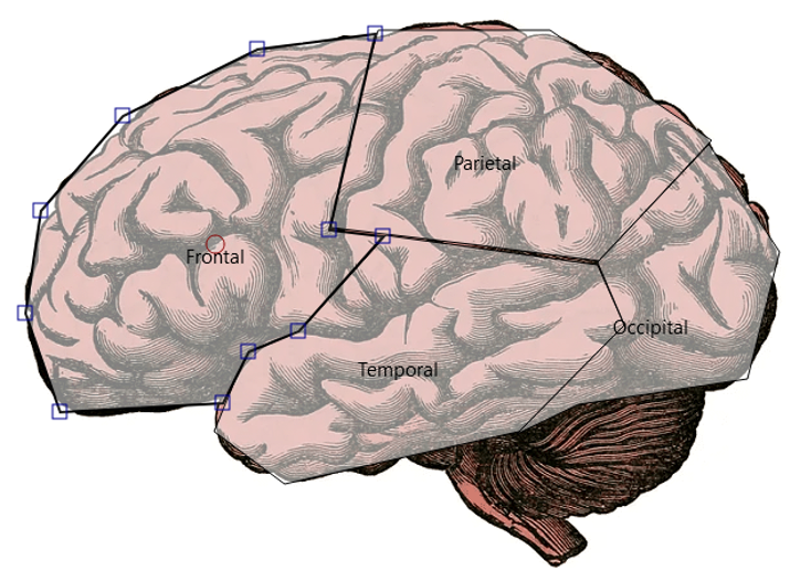 Ejemplo de pregunta de arrastrar y soltar marcadores