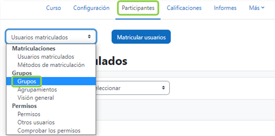 Opción grupos dentro de participantes