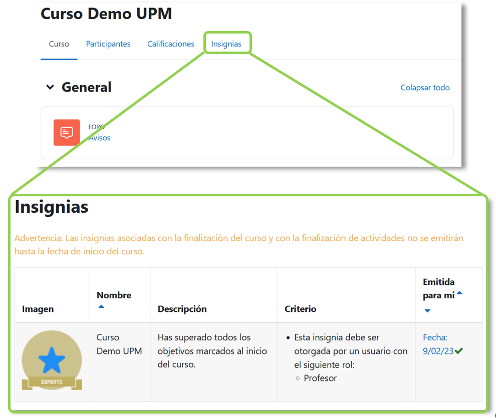 Insignias de un curso
