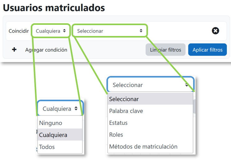 Filtrar y buscar usuarios