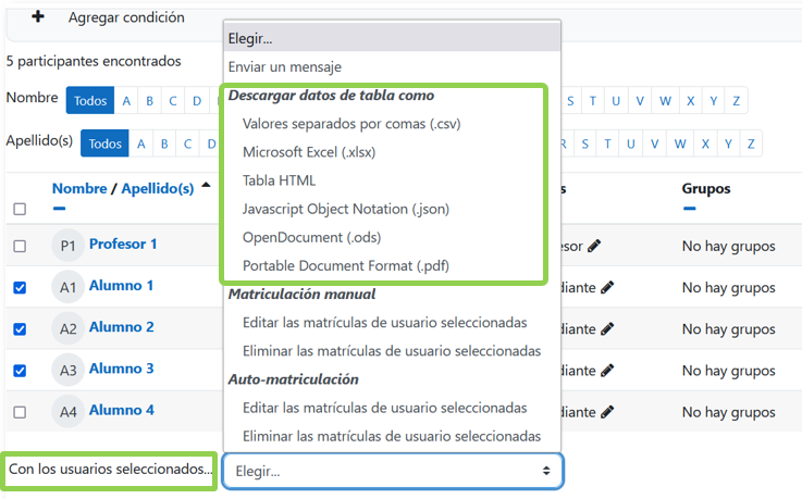 Formato de descarga de la lista de participantes