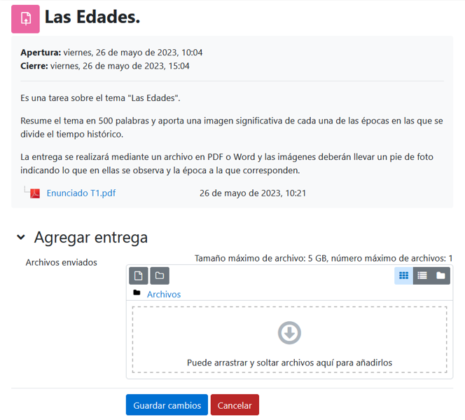 Vista del estudiante de la entrega