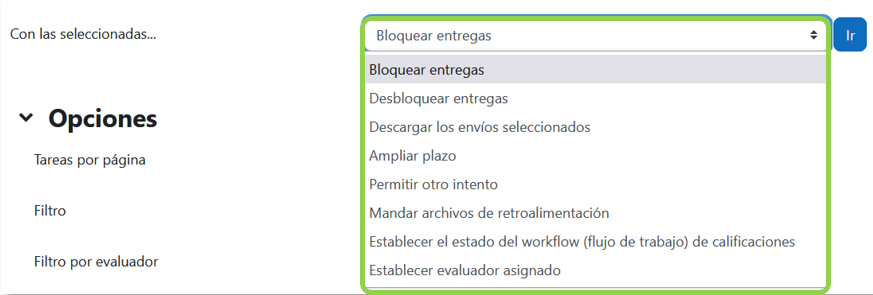Opciones sobre las entregas selecciones