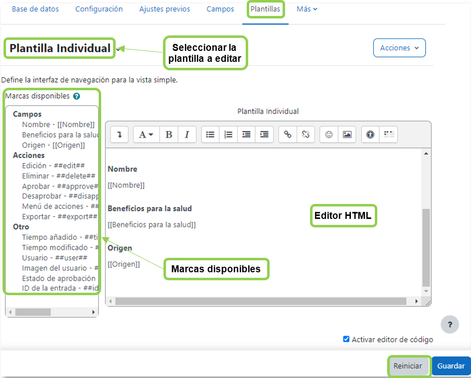 Vista de los campos en la plantilla