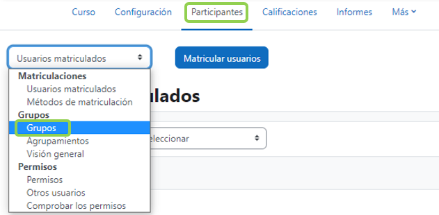 Vista de los grupos desde participantes