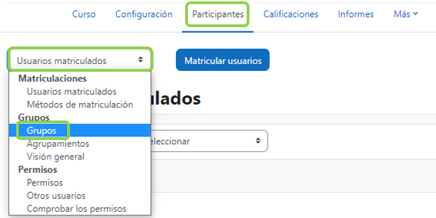Vista desde participantes del curso de los estudiantes incluidos en el grupo (1)