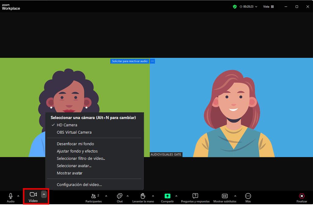interfaz de zoom vista panelista, apartado vídeo