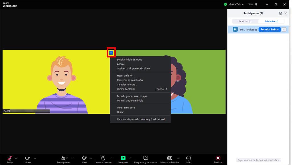 interfaz de zoom vista panelista, apartado 