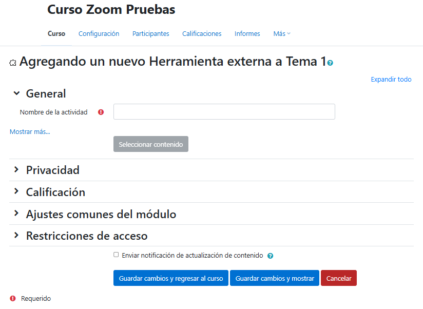 Captura de pantalla de la configuración de la herramienta Zoom en Moodle